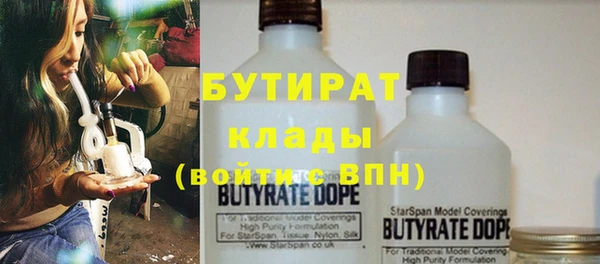 хмурый Арсеньев
