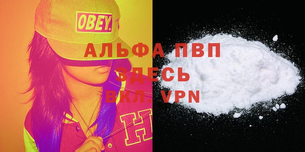 хмурый Арсеньев