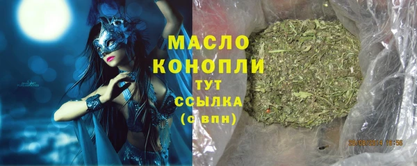 хмурый Арсеньев