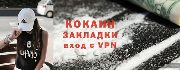 хмурый Арсеньев