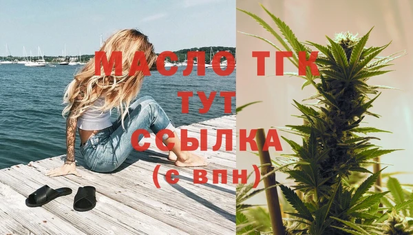 сатива Осташков