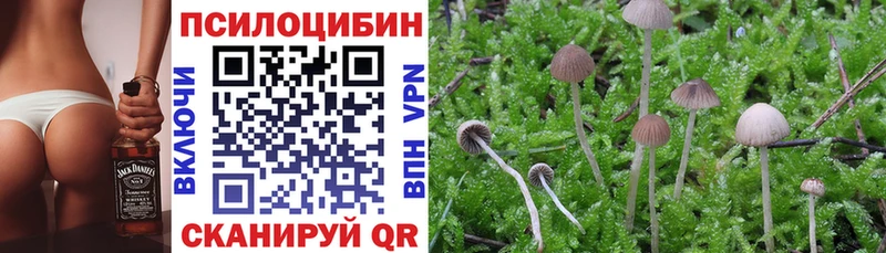 гидра зеркало  Мегион  Псилоцибиновые грибы GOLDEN TEACHER 